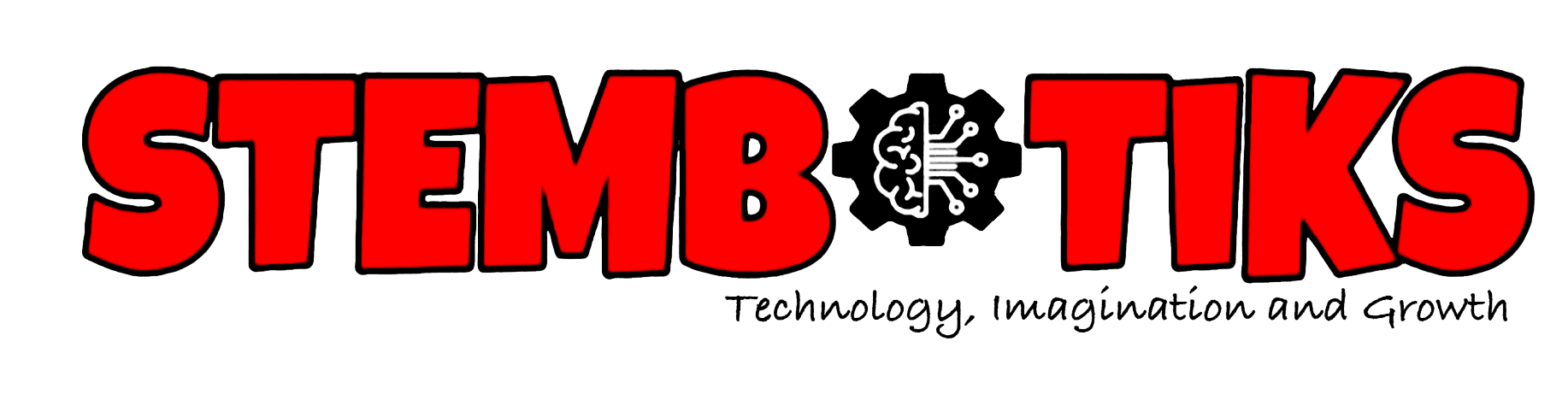 STEMBOTIKS